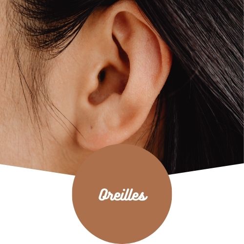 Oreilles