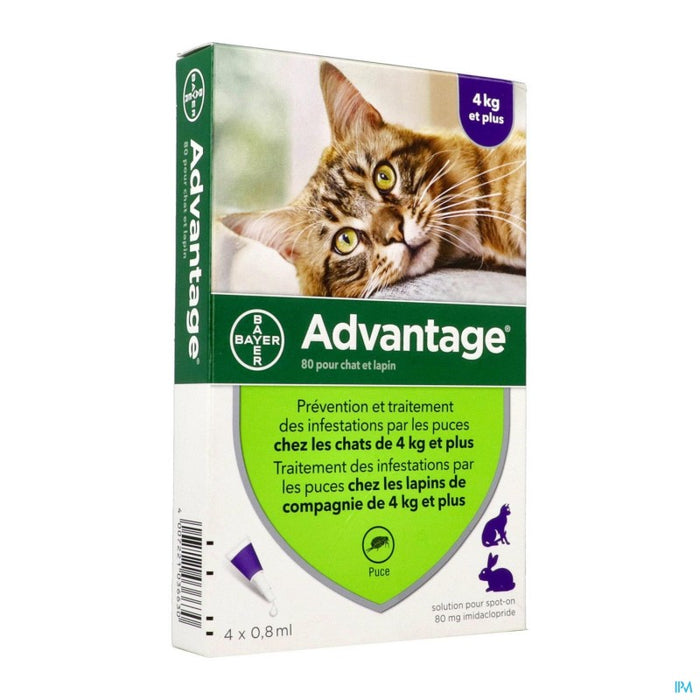 ADVANTAGE CHAT LAPIN 80 SPOT ON SOLUTION 0ML8 X4