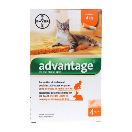 ADVANTAGE CHAT LAPIN 40 SPOT ON SOLUTION 0ML4 X4