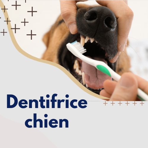 Dentifrice pour chien