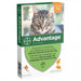 ADVANTAGE CHAT LAPIN 40 SPOT ON SOLUTION 0ML4 X6