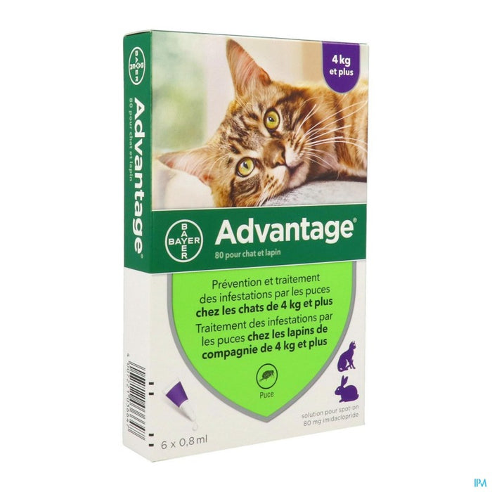 ADVANTAGE CHAT LAPIN 80 SPOT ON SOLUTION 0ML8 X6