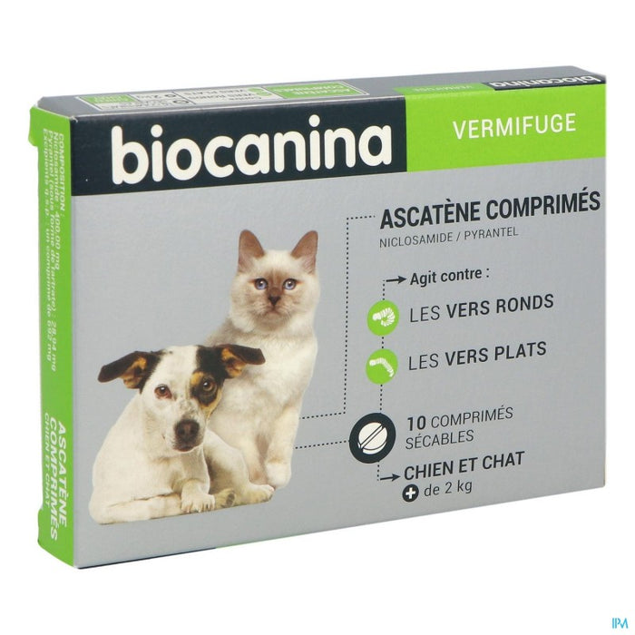 ASCATENE COMPRIME CHIEN CHAT 10